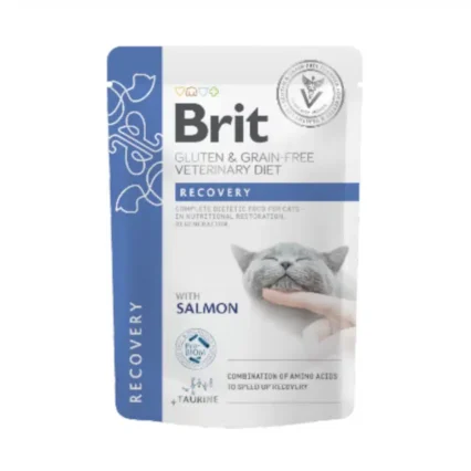 Brit Vet Cat Recovery Gluten & Grain-Free Salmon in Gravy 85gr