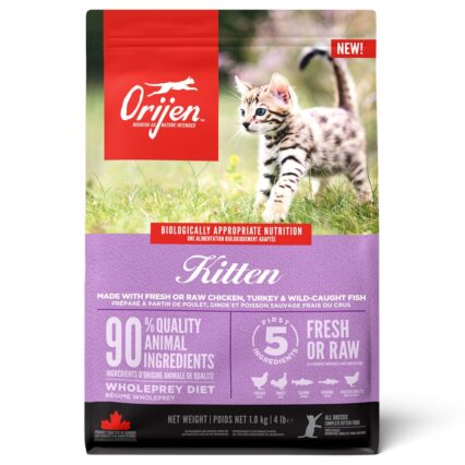Orijen Kitten
