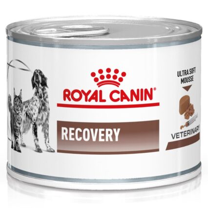 Royal Canin Recovery 195gr