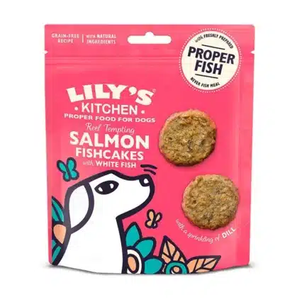 LILY'S KITCHEN Salmon Fishcakes 70g