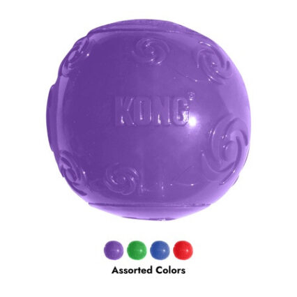 Kong Squeezz Ball Medium