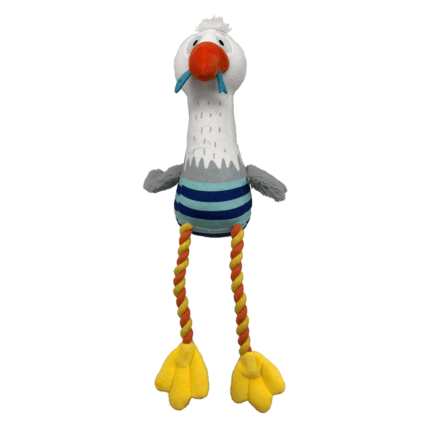 Gaivota c/ Corda | FOFOS