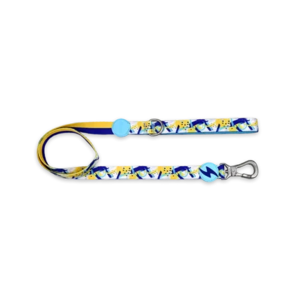 Dashi Nebula Leash Small