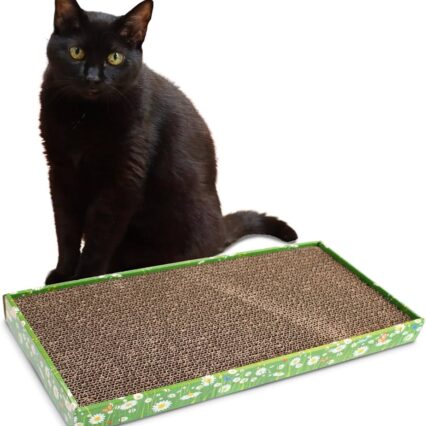 Cat Scrapper w/ Catnip 48cm
