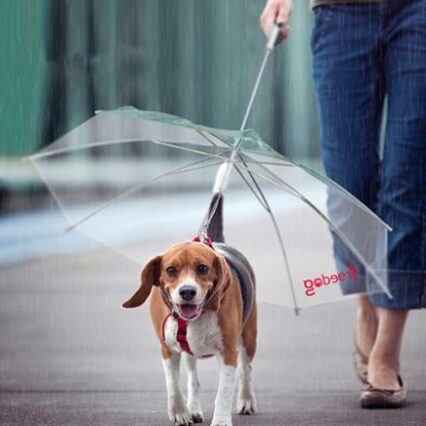 Guarda Chuva 45cm Cão