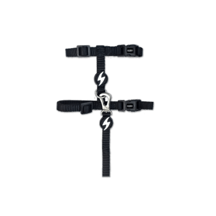 Dashi Solid Black Cat Harness + Leash