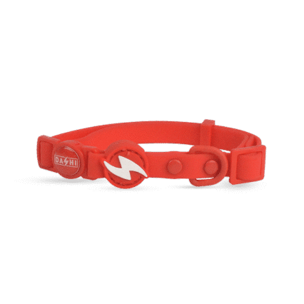 Dashi ColorFlex Red Collar Cat