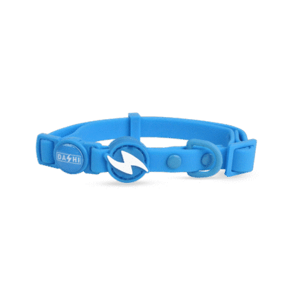 Dashi ColorFlex Blue Collar Cat
