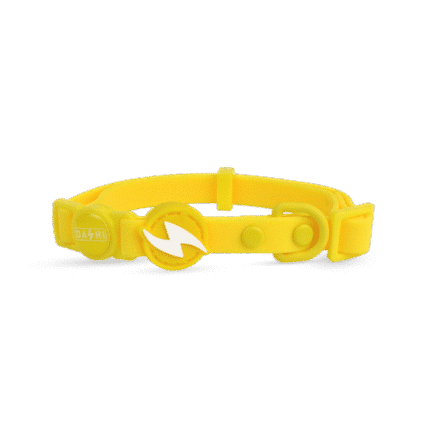 Dashi ColorFlex Yellow Collar Cat