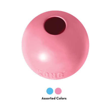 Kong Puppy Ball w/ Whole Medium/Large