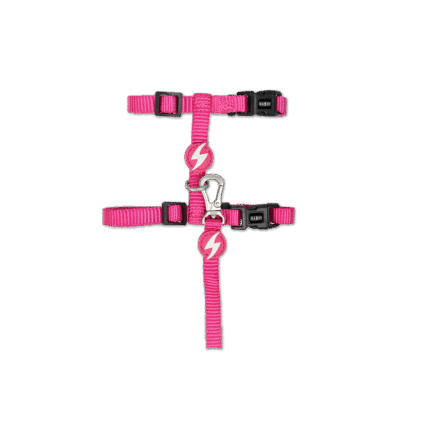 Dashi Solid Pink Cat Harness + Leash