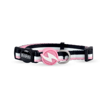 Dashi Stripes3 Pink & Black Collar Cat