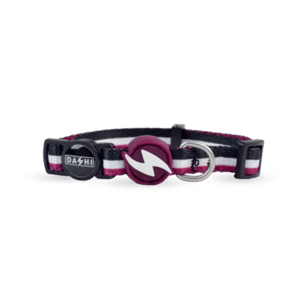 Dashi Stripes3 Purple&Black Collar Large
