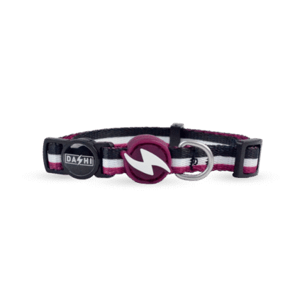 Dashi Stripes3 Purple & Black Collar Cat