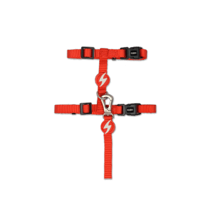 Dashi Solid Red Cat Harness + Leash