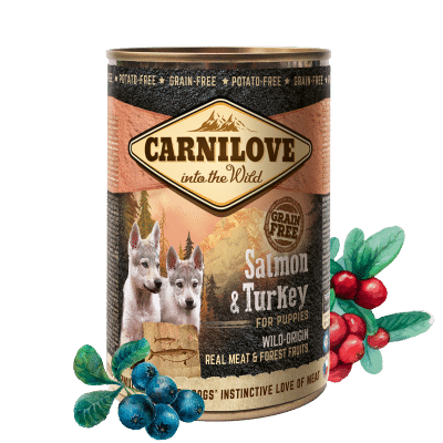 Carnilove Grain Free Salmão e Peru Puppy 400gr