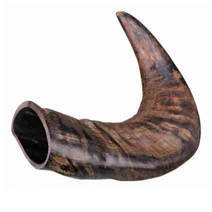 Corno de Búfalo p/ Mascar Med.