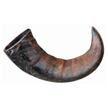 Corno de Búfalo p/ Mascar Grd.