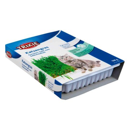 Erva Gateira c/ Tabuleiro 120gr