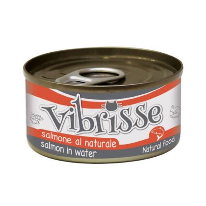 Vibrisse Gato Salmão 70g