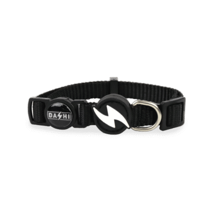 Dashi Solid Black Collar Cat