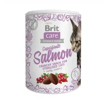 Brit Care Cat Snack SuperFruits Salmon 100gr