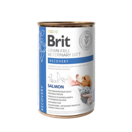 Brit Vet Diet Dog & Cat Recovery Grain Free Salmon 400g