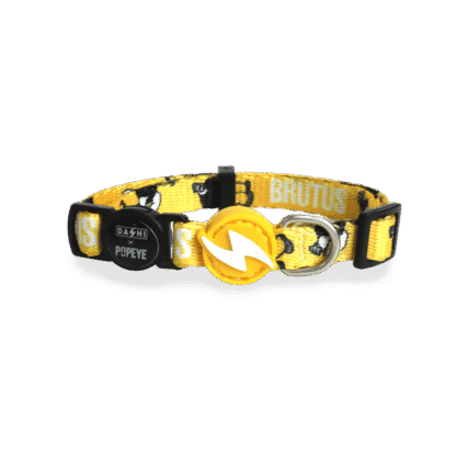 Dashi Brutus Collar Cat
