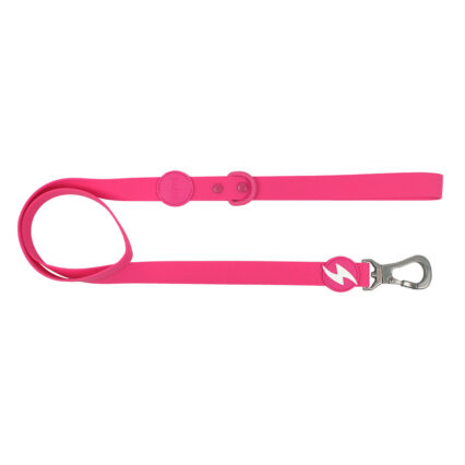 Dashi ColorFlex Pink Leash Small