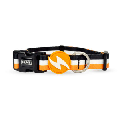 Dashi Stripes3 Orange&Black Collar Large