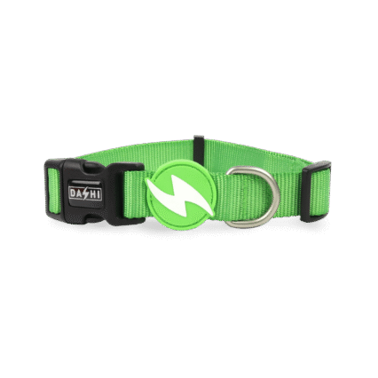 Dashi Solid Green Collar Large