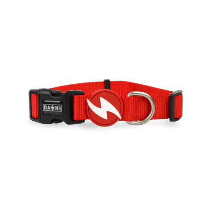 Dashi Solid Red Collar Large