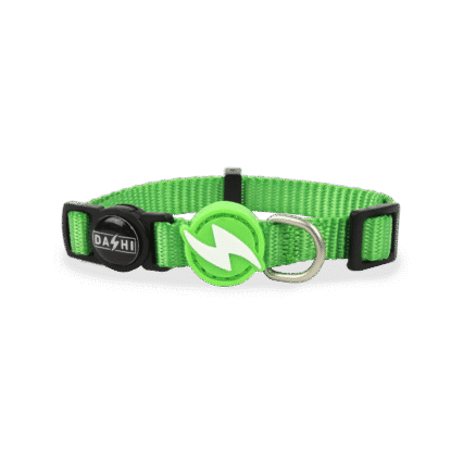 Dashi Solid Green Collar Cat
