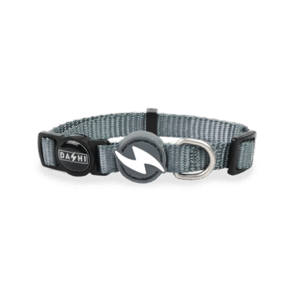 Dashi Solid Grey Collar Cat