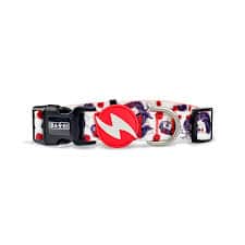 Dashi Calavera Collar Cat