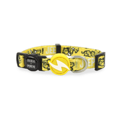 Dashi Jeep Collar Cat