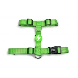 Dashi Solid Green Back Harness Large