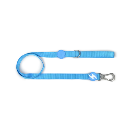 Dashi Solid Sky Blue Leash Medium