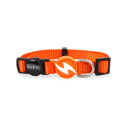 Dashi Solid Orange Collar Cat