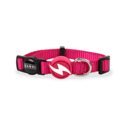 Dashi Solid Pink Collar Cat