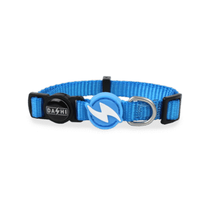 Dashi Solid Sky Blue Collar Cat