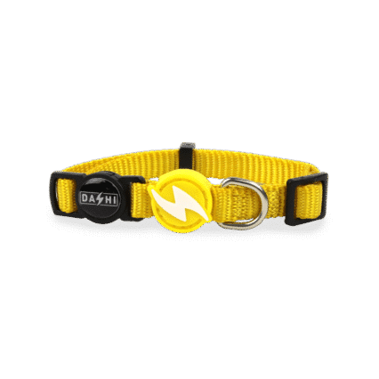 Dashi Solid Yellow Collar Cat