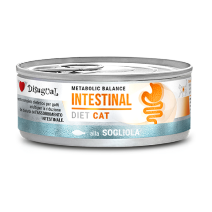 Disugual Diet Gato Intestinal Linguado 85gr
