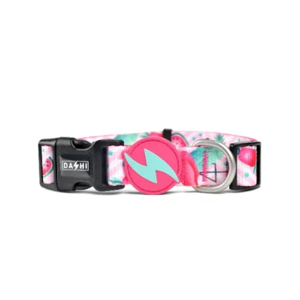 Dashi Flamingo Collar