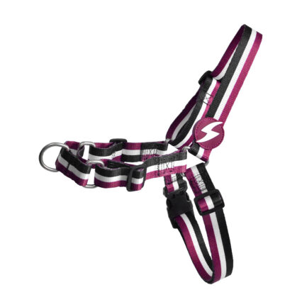 Dashi Stripes3 Purple&Black Front Harness