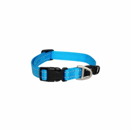 Rogz Coleira Classic Turquesa