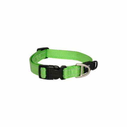Rogz Coleira Classic Verde