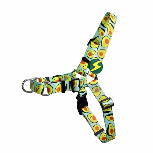 Dashi Avocado Front Harness