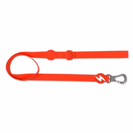 Dashi ColorFlex Red Leash