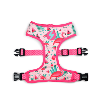 Dashi Flamingo Neo Mesh